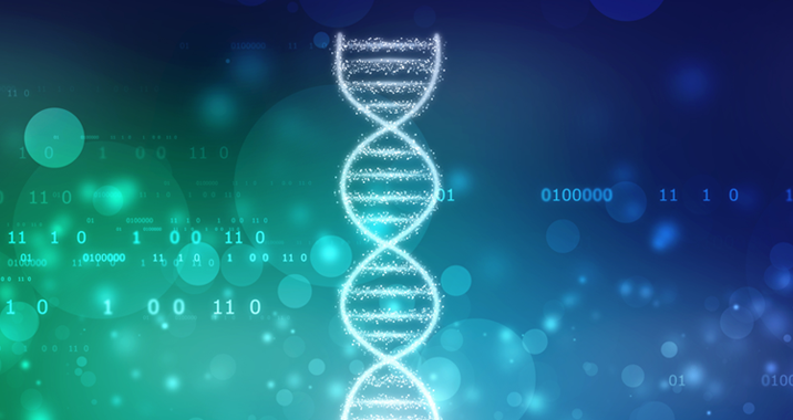 Systematic Biology Impact Factor & Key Scientometrics
